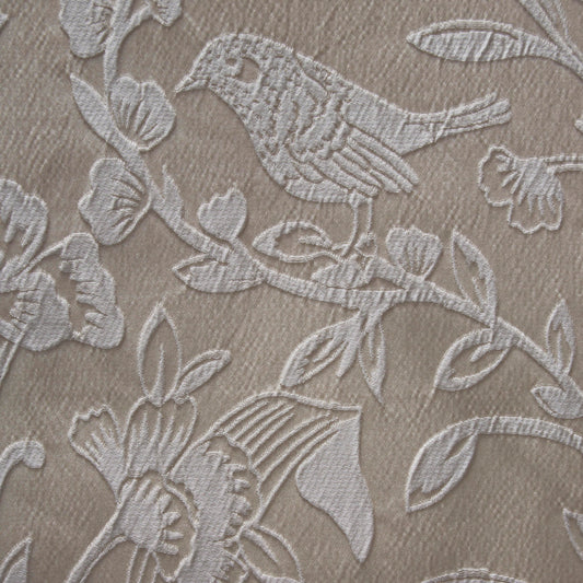 Elysia Oxford Edge Pillowcase (Single) by Appletree Heritage in Champagne 50 x 75cm - Oxford Edge Pillowcase (Single) - Appletree Heritage