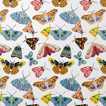 Butterfly House Cotton Tea Towel in Multicolour