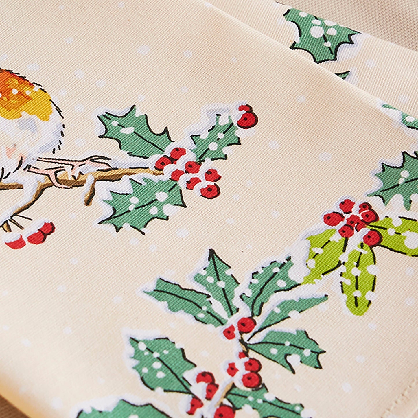 Christmas Robins Napkins 2 Pack in Green