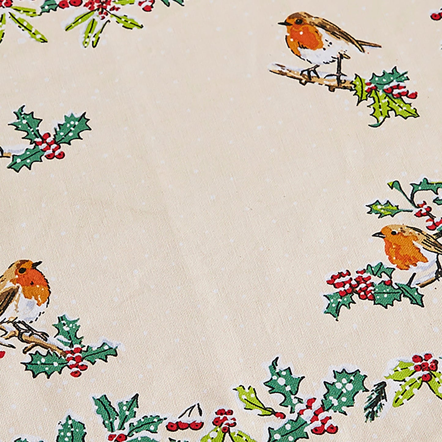 Christmas Robins Cotton Placemats 2 Pack in Green